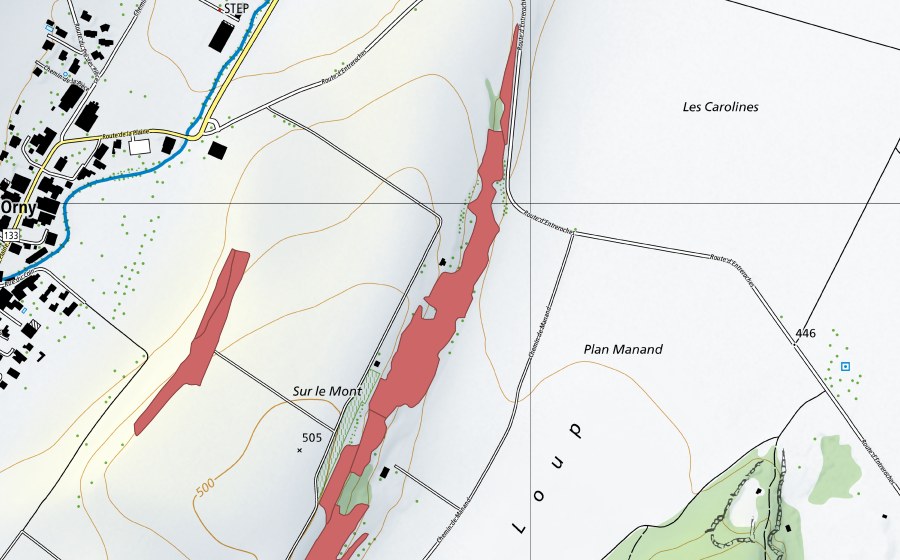 swisstopo national map showing the protected perimeter of Sur le Mont (Dry meadow)
