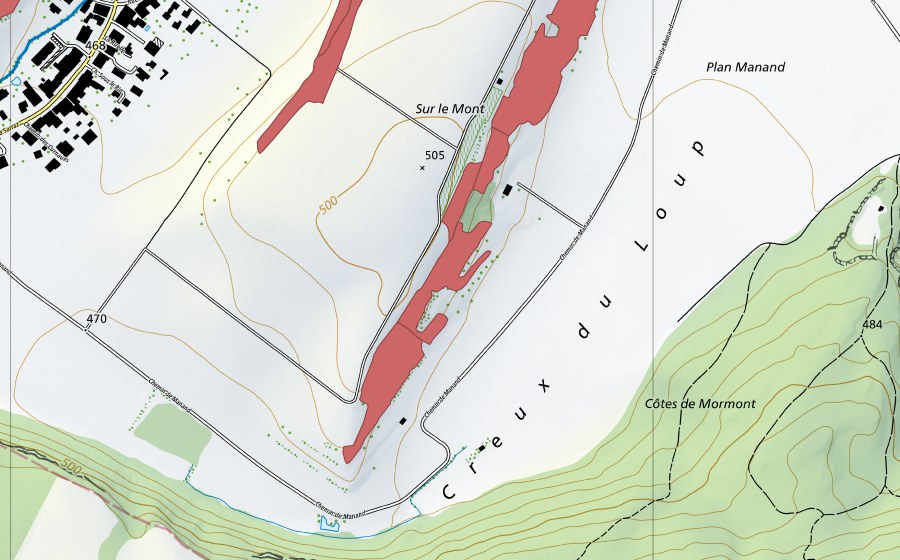 swisstopo national map showing the protected perimeter of Sur le Mont (Dry meadow)