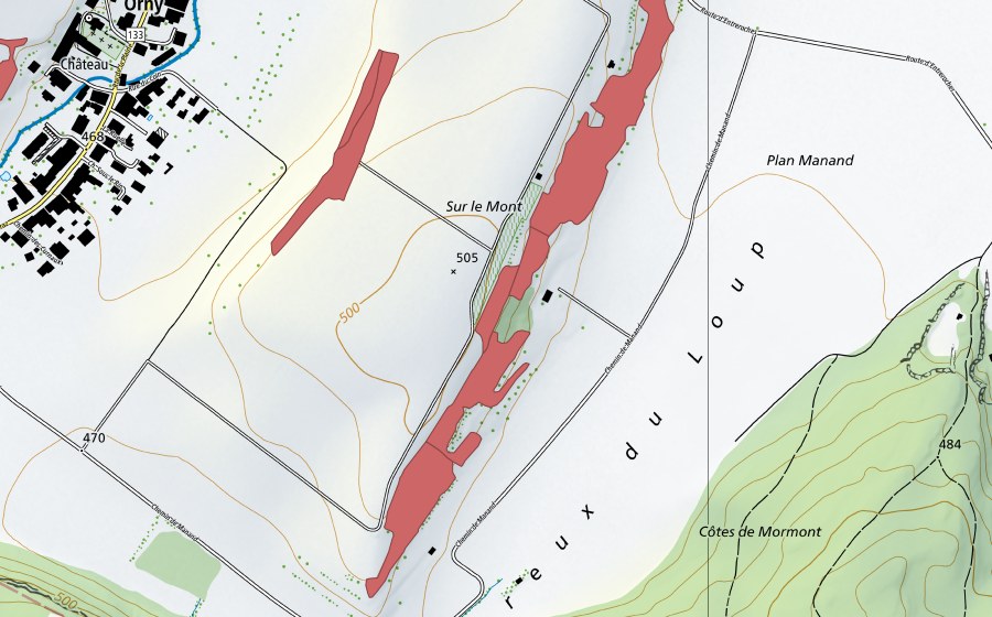 swisstopo national map showing the protected perimeter of Sur le Mont (Dry meadow)