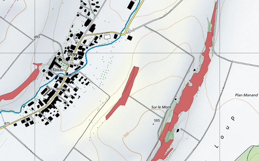 swisstopo national map showing the protected perimeter of Sur le Mont (Dry meadow)