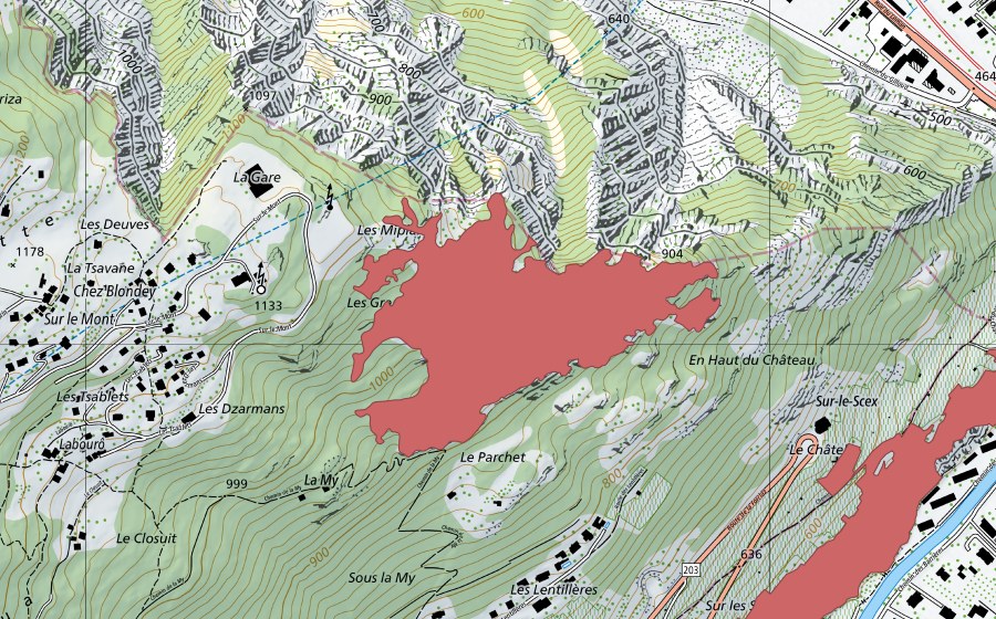 Landeskarte swisstopo mit dem Schutzperimeter von Sur le Mont (Trockenwiese)