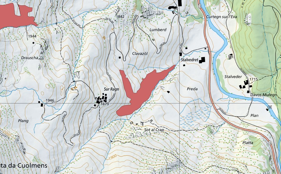 swisstopo national map showing the protected perimeter of Sur Ragn (Dry meadow)