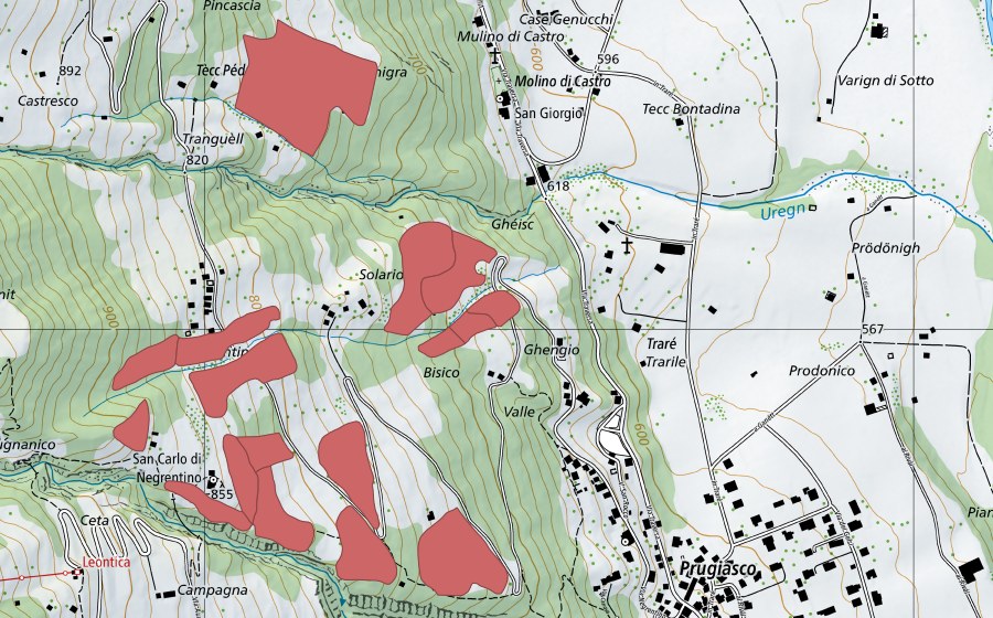 Landeskarte swisstopo mit dem Schutzperimeter von Suréi (Trockenwiese)