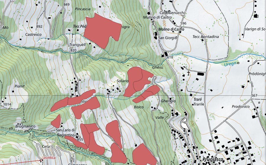 swisstopo national map showing the protected perimeter of Suréi (Dry meadow)