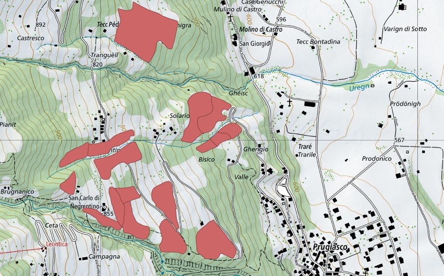swisstopo national map showing the protected perimeter of Suréi (Dry meadow)