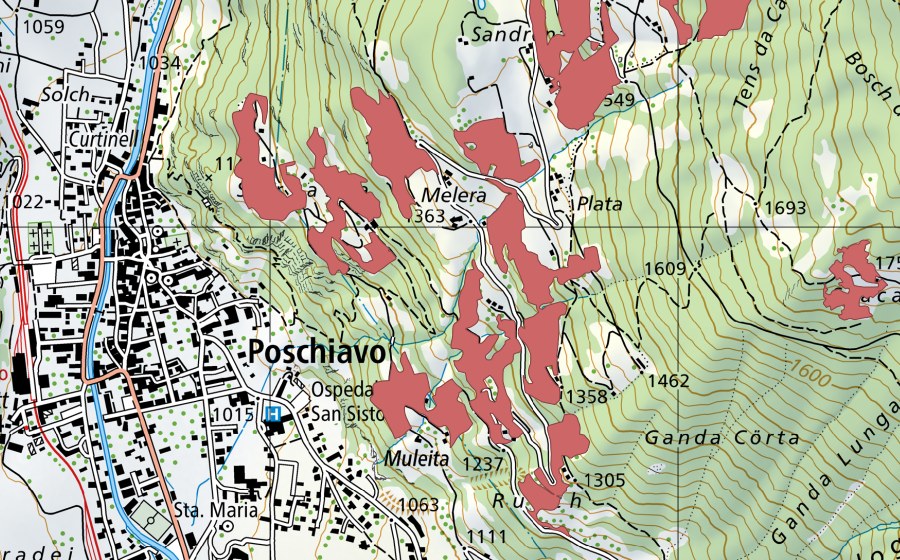Carte nationale swisstopo avec le périmètre protégé de Sursassa (Prairie sèche)