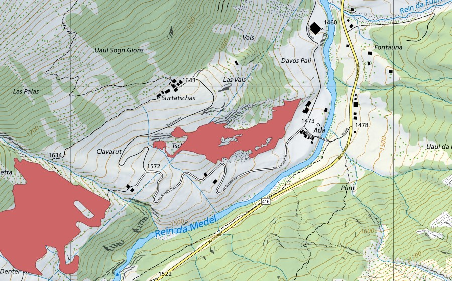 swisstopo national map showing the protected perimeter of Surtatschas (Dry meadow)