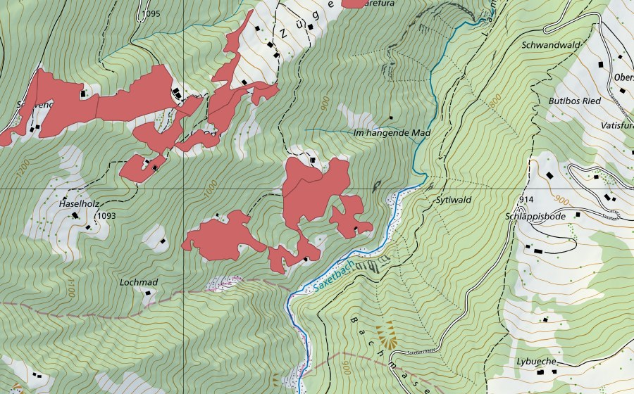 swisstopo national map showing the protected perimeter of Sytiweidleni (Dry meadow)