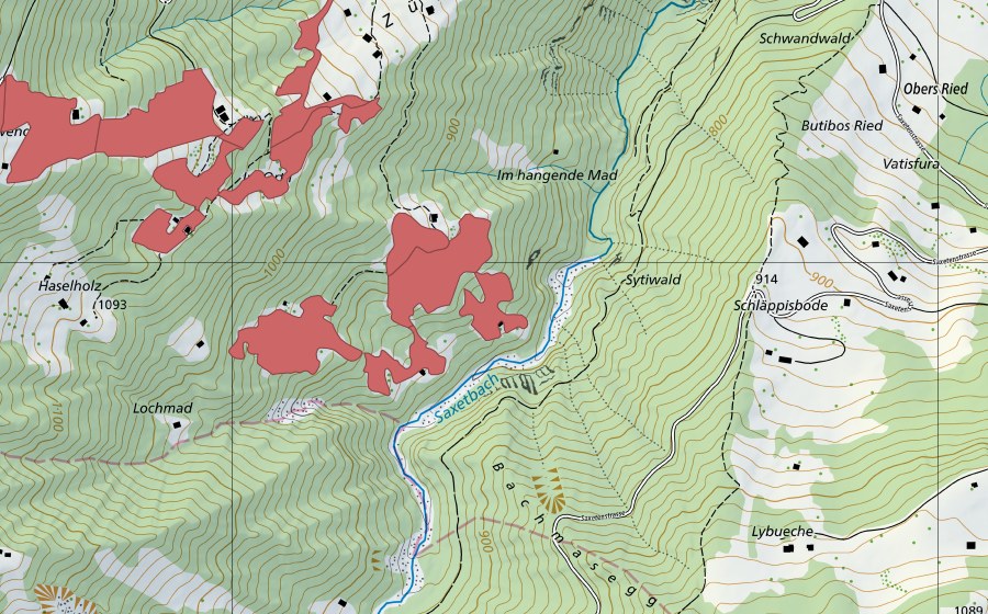 swisstopo national map showing the protected perimeter of Sytiweidleni (Dry meadow)