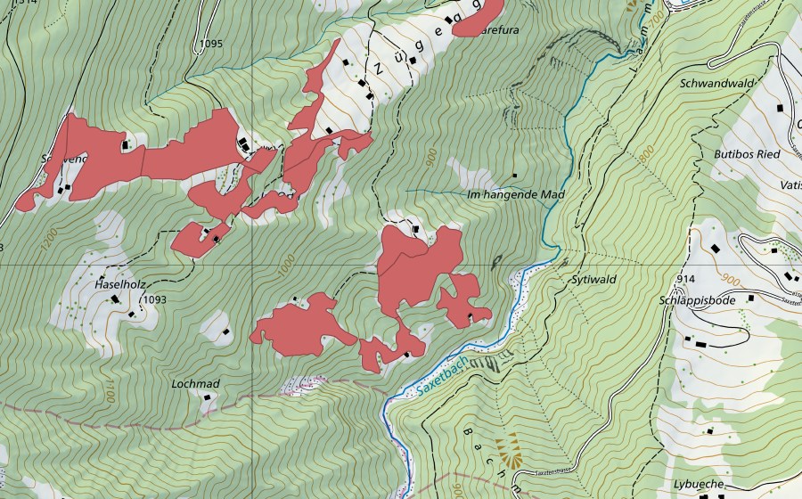 swisstopo national map showing the protected perimeter of Sytiweidleni (Dry meadow)