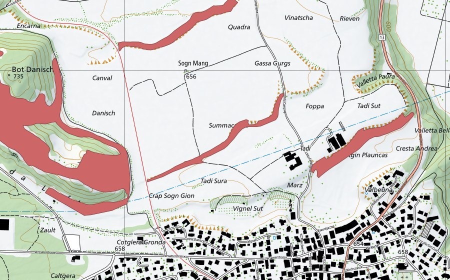 Landeskarte swisstopo mit dem Schutzperimeter von Tadi (Trockenwiese)