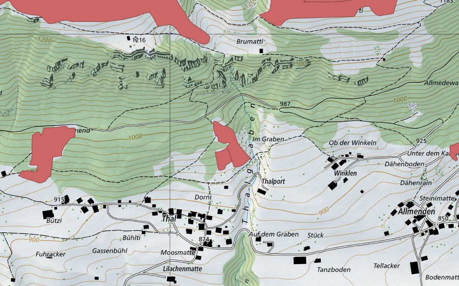Landeskarte swisstopo mit dem Schutzperimeter von Talallmi (Trockenwiese)