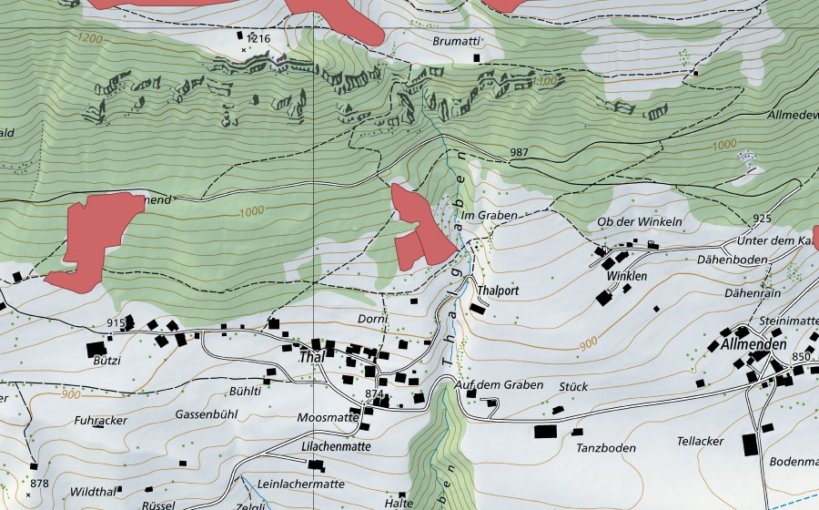 swisstopo national map showing the protected perimeter of Talallmi (Dry meadow)