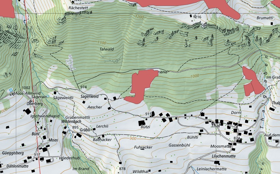 swisstopo national map showing the protected perimeter of Talallmi (Dry meadow)