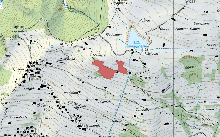 Carte nationale swisstopo avec le périmètre protégé de Tälfsch (Prairie sèche)