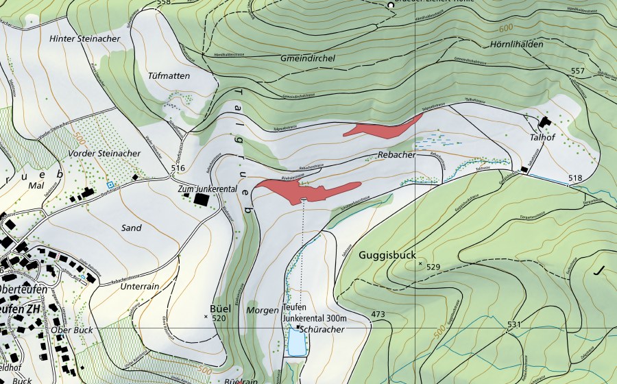 swisstopo national map showing the protected perimeter of Talgrueb (Dry meadow)
