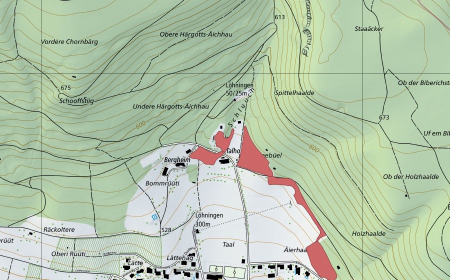 Landeskarte swisstopo mit dem Schutzperimeter von Talhof (Trockenwiese)