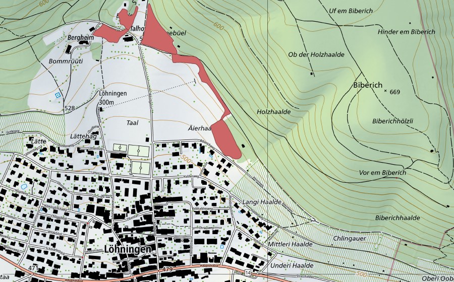 swisstopo national map showing the protected perimeter of Talhof (Dry meadow)