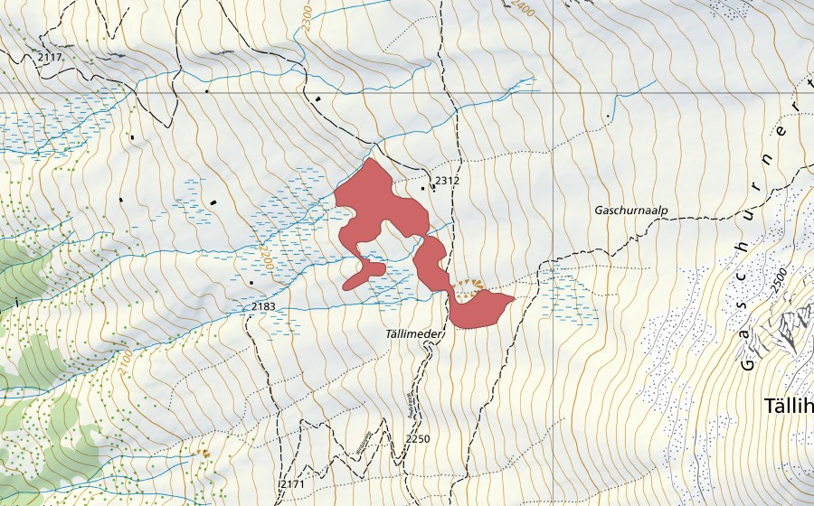 Landeskarte swisstopo mit dem Schutzperimeter von Tällimeder (Trockenwiese)