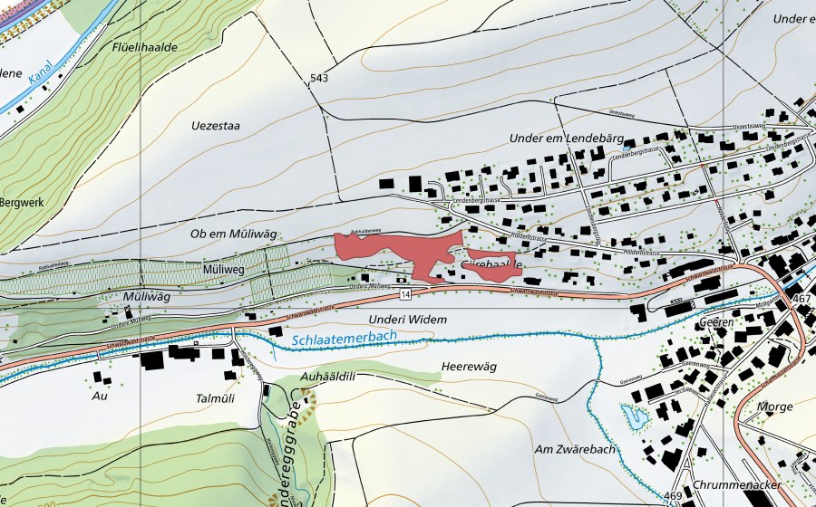 swisstopo national map showing the protected perimeter of Talmüli (Dry meadow)
