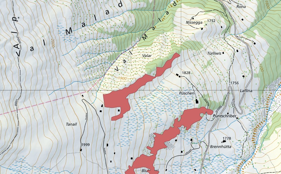 swisstopo national map showing the protected perimeter of Tanail (Dry meadow)