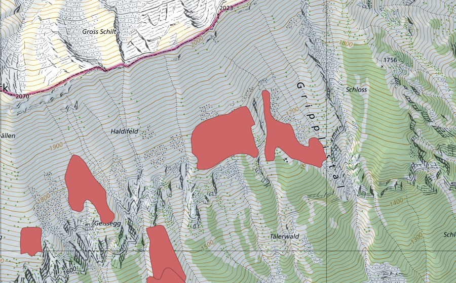 Landeskarte swisstopo mit dem Schutzperimeter von Tannegg (Trockenwiese)