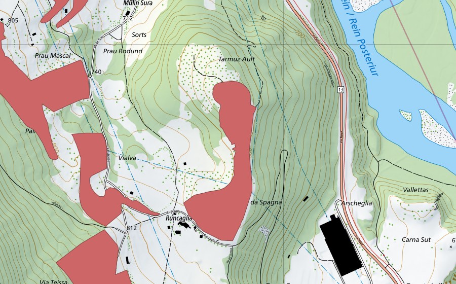 Landeskarte swisstopo mit dem Schutzperimeter von Tarmuz Ault (Trockenwiese)