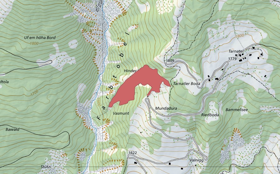 Landeskarte swisstopo mit dem Schutzperimeter von Tarnatler-Boden (Trockenwiese)
