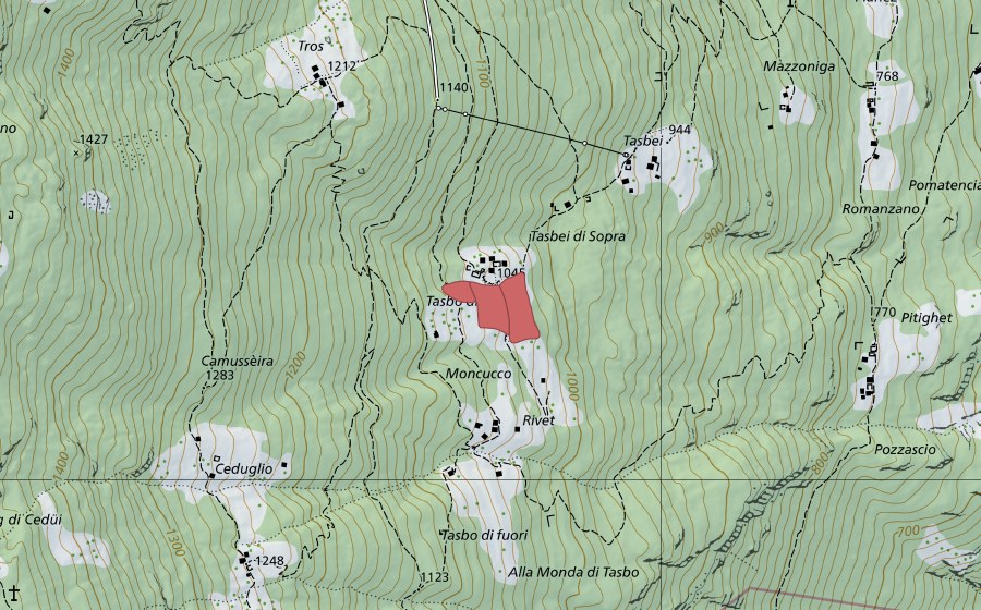 swisstopo national map showing the protected perimeter of Tasbèi (Dry meadow)