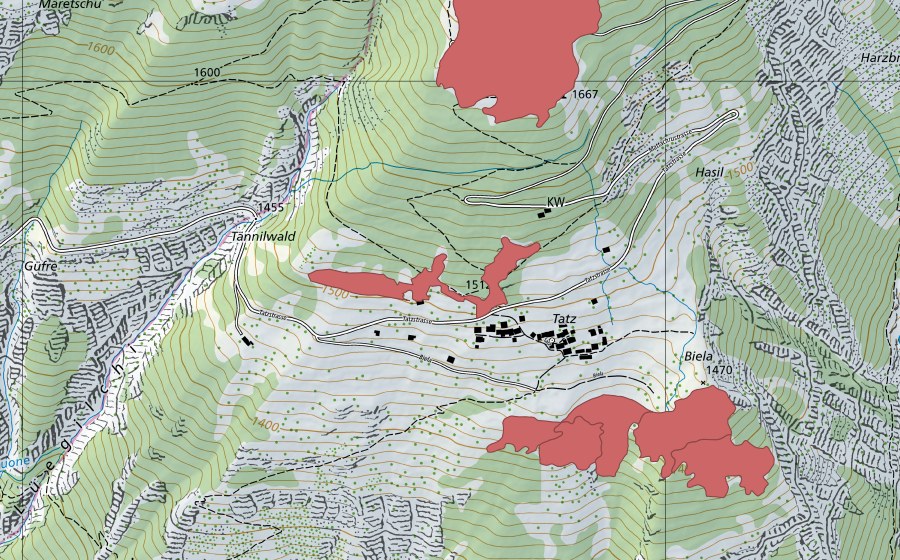 swisstopo national map showing the protected perimeter of Tatz (Dry meadow)