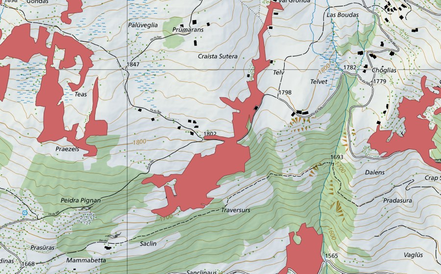 Carte nationale swisstopo avec le périmètre protégé de Teas (Prairie sèche)