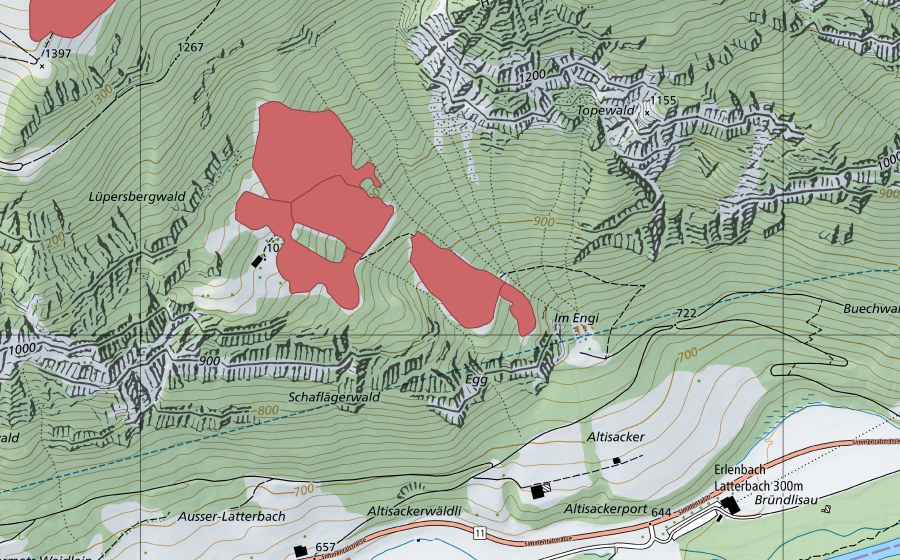 Landeskarte swisstopo mit dem Schutzperimeter von Teller (Trockenwiese)