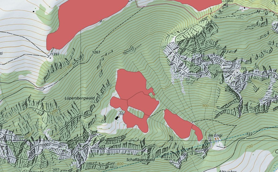 Landeskarte swisstopo mit dem Schutzperimeter von Teller (Trockenwiese)