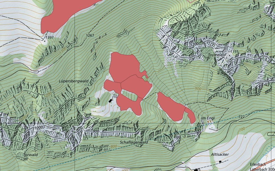 Landeskarte swisstopo mit dem Schutzperimeter von Teller (Trockenwiese)