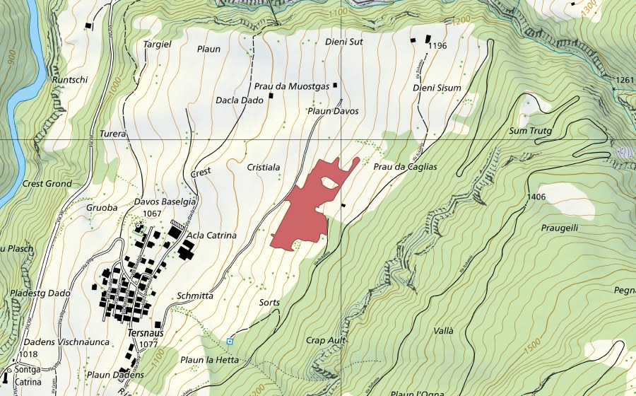 Carte nationale swisstopo avec le périmètre protégé de Tersnaus (Prairie sèche)