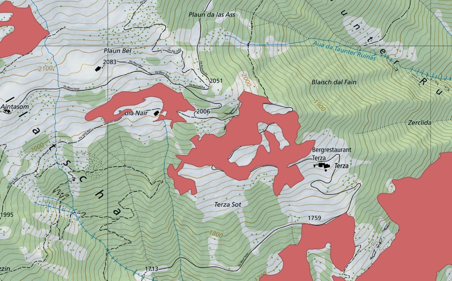 Landeskarte swisstopo mit dem Schutzperimeter von Terza (Trockenwiese)