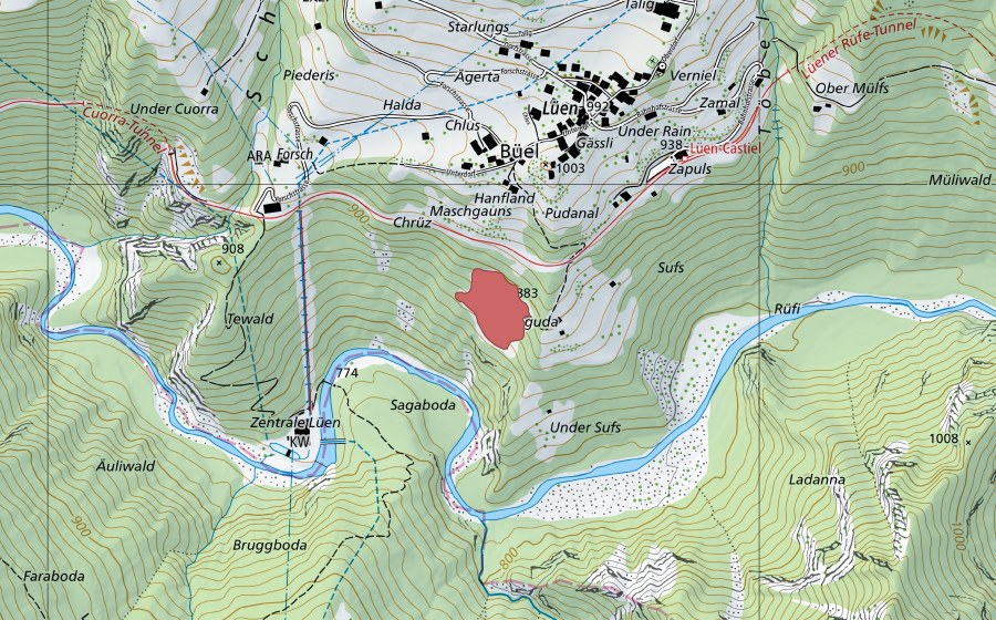 Landeskarte swisstopo mit dem Schutzperimeter von Tewald (Trockenwiese)