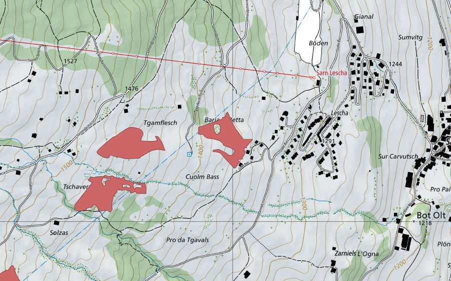 Landeskarte swisstopo mit dem Schutzperimeter von Tgamflesch (Trockenwiese)