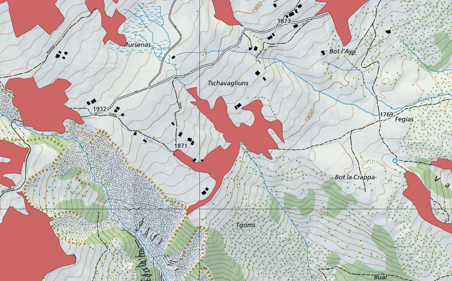 Carte nationale swisstopo avec le périmètre protégé de Tgoms (Prairie sèche)