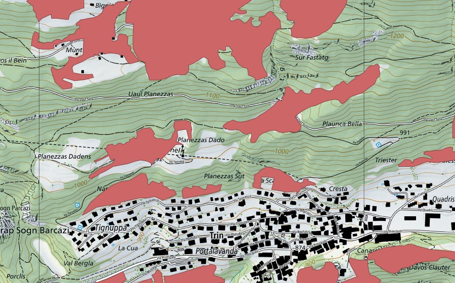 Landeskarte swisstopo mit dem Schutzperimeter von Tignuppa (Trockenwiese)