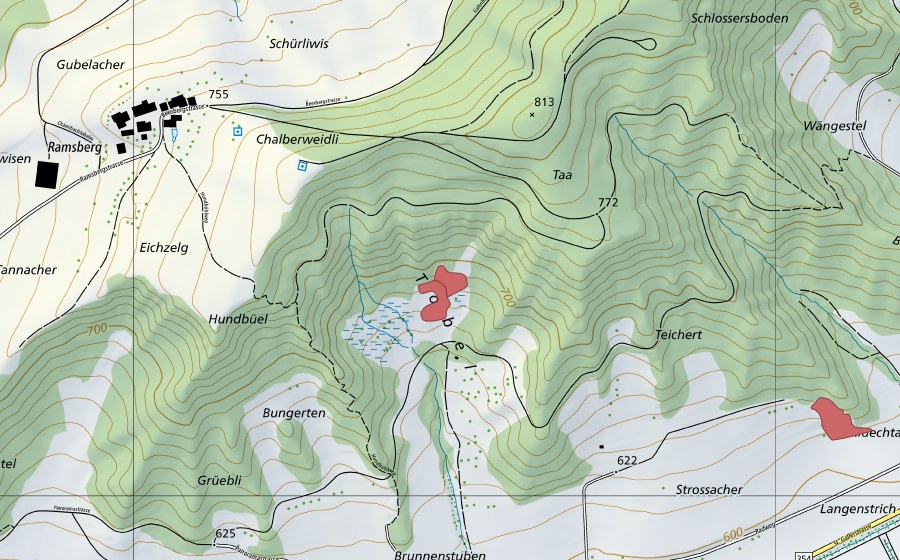 Landeskarte swisstopo mit dem Schutzperimeter von Tobel (Trockenwiese)