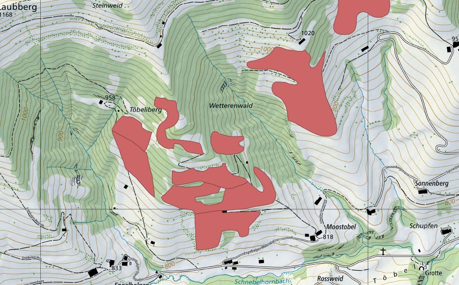 swisstopo national map showing the protected perimeter of Töbeliberg (Dry meadow)