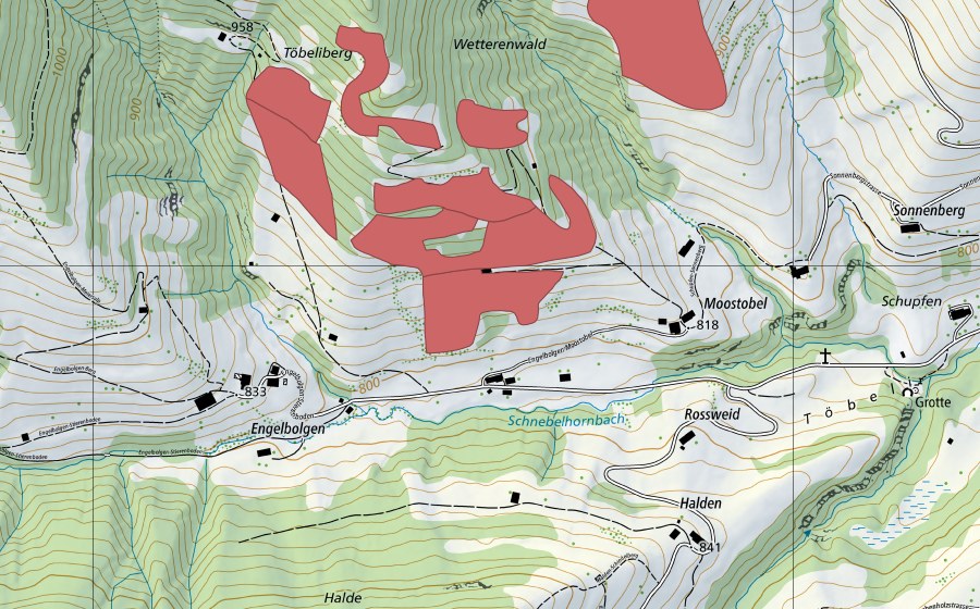 swisstopo national map showing the protected perimeter of Töbeliberg (Dry meadow)