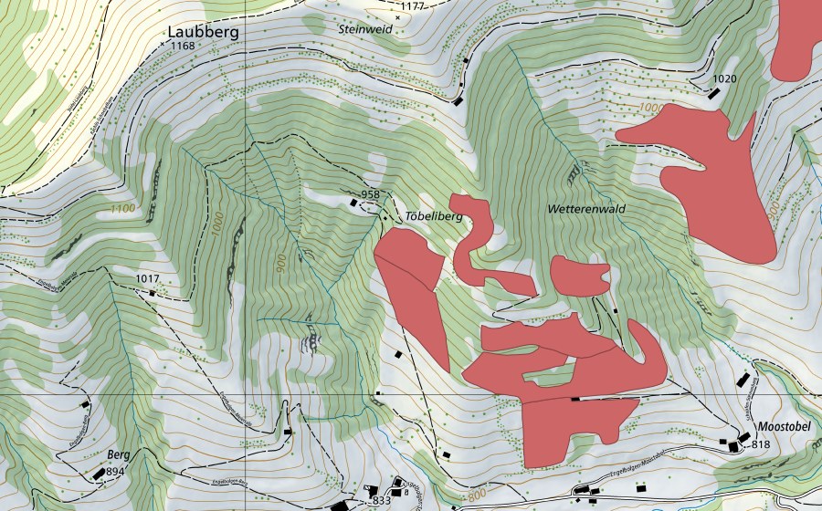 swisstopo national map showing the protected perimeter of Töbeliberg (Dry meadow)