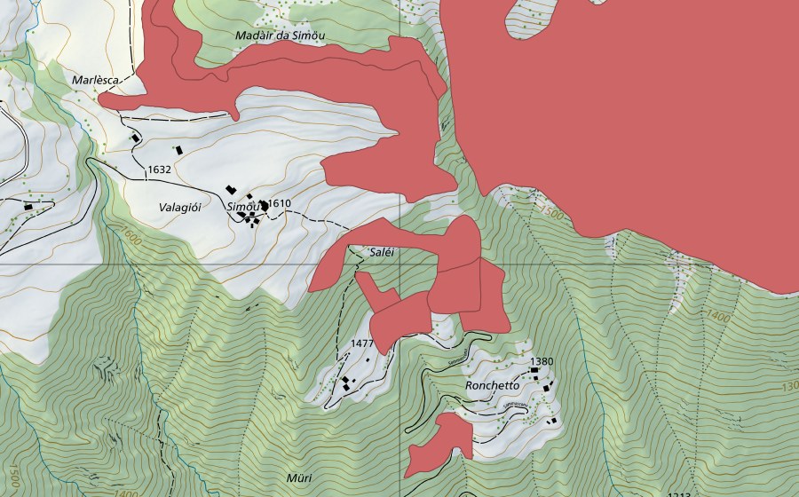 swisstopo national map showing the protected perimeter of Töira (Dry meadow)