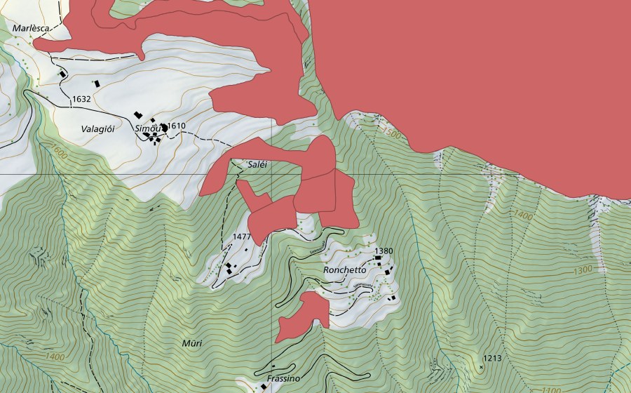 Landeskarte swisstopo mit dem Schutzperimeter von Töira (Trockenwiese)