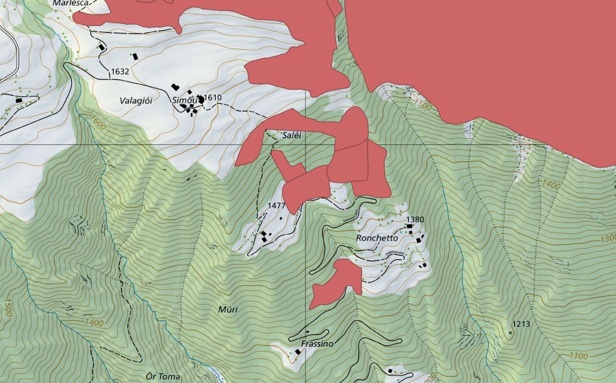 swisstopo national map showing the protected perimeter of Töira (Dry meadow)