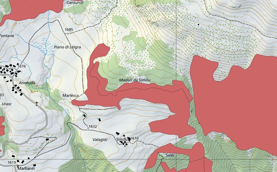 Landeskarte swisstopo mit dem Schutzperimeter von Töira (Trockenwiese)