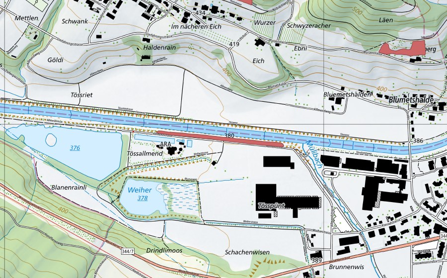 swisstopo national map showing the protected perimeter of Tössallmend (Dry meadow)