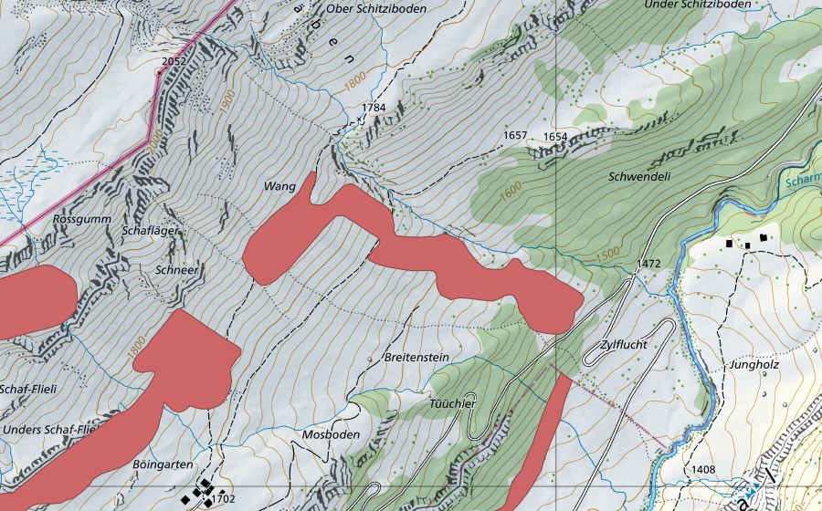 swisstopo national map showing the protected perimeter of Tossen (Dry meadow)